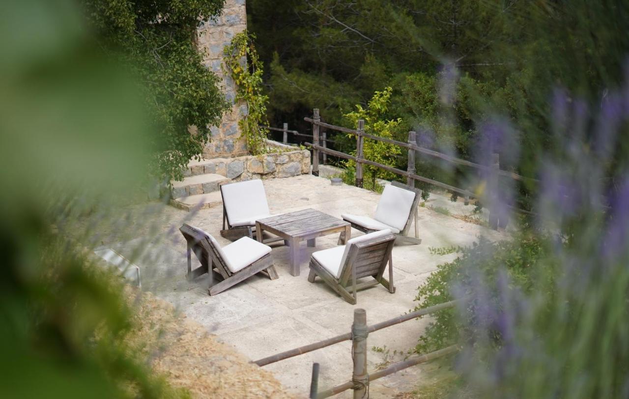 Blue Jay Valley Jezzine Ngoại thất bức ảnh