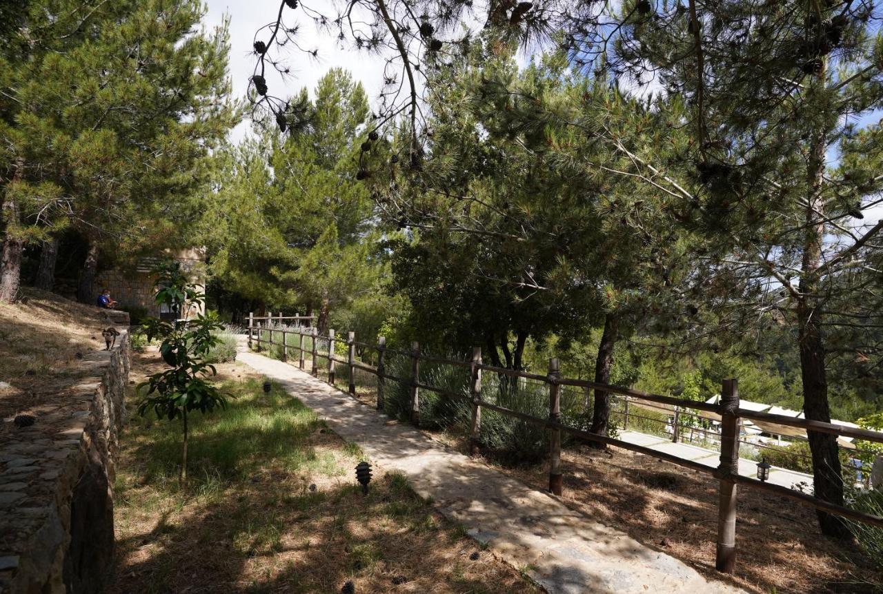 Blue Jay Valley Jezzine Ngoại thất bức ảnh