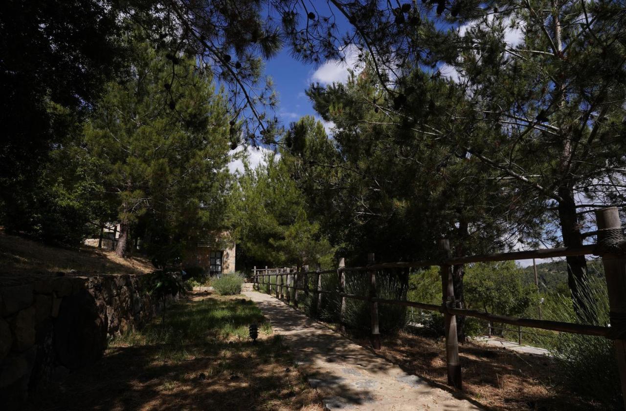 Blue Jay Valley Jezzine Ngoại thất bức ảnh